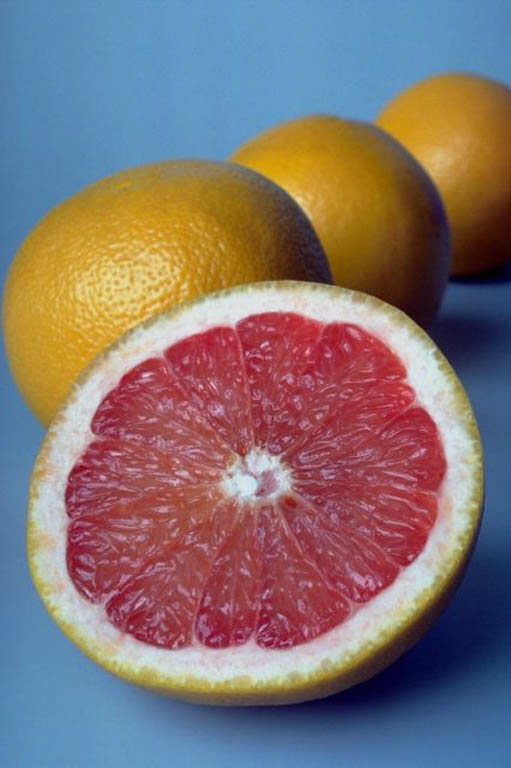 “Sweet & Sassy” Florida Grapefruit Fresh Fruit and Juice Coupons Giveaway!