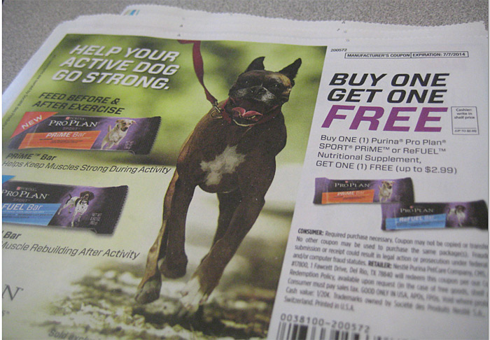 Would you buy an energy bar… for your DOG?