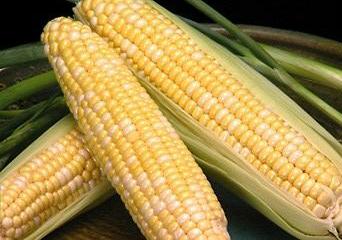 SavingStar Healthy Offer of the Week: 20% off corn