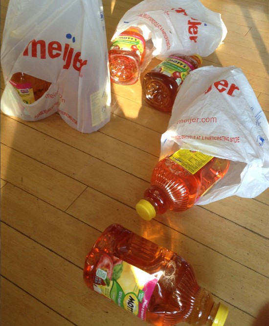 Meijer shopping bags