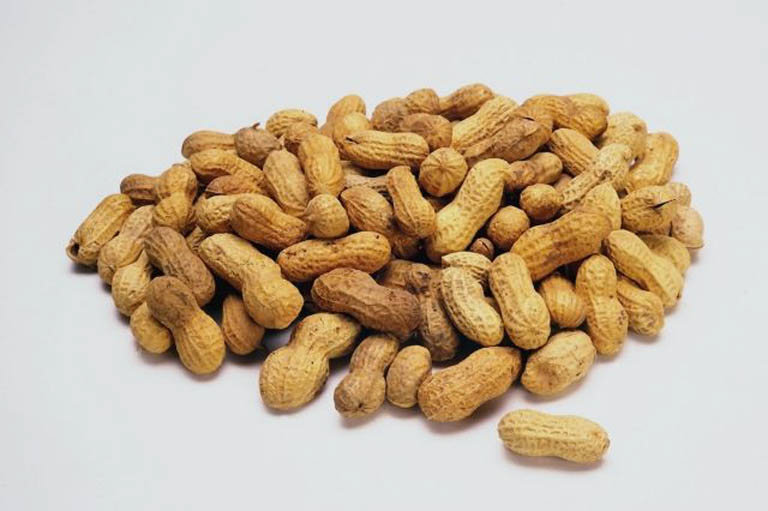 Interesting article on peanut allergy: Avoiding peanuts when young may cause it