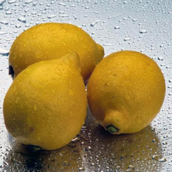 Super-Couponing Tips column: When restaurants give you lemons…