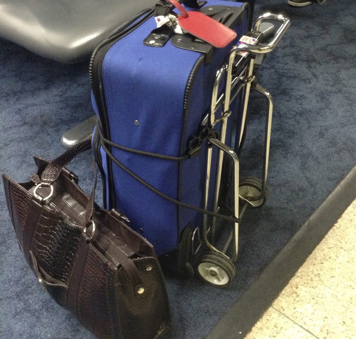Luggage with cart