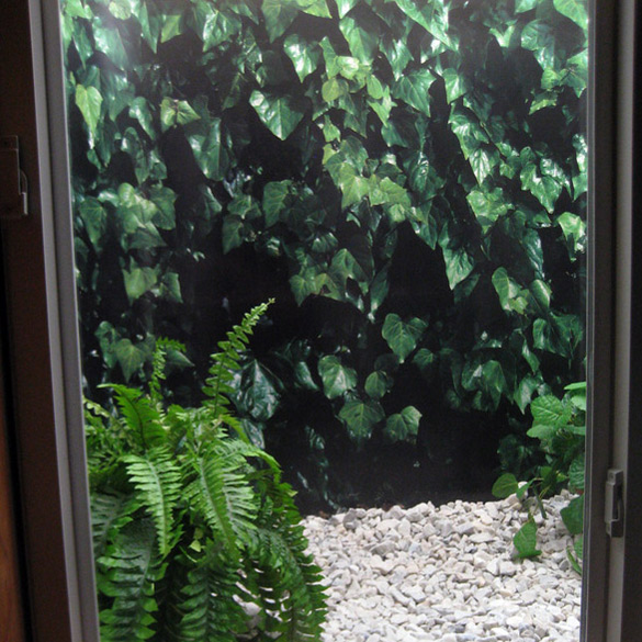 All about my “ivy” window well & how I did it