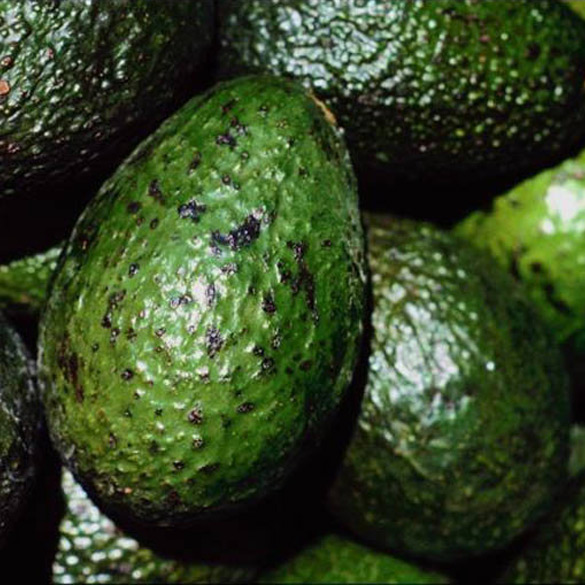 SavingStar Healthy Offer of the Week: 20% off avocados