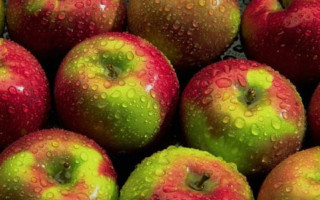 SavingStar Healthy Offer of the Week: 20% off apples