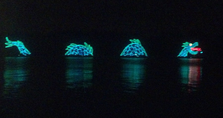 Disney's Electrical Water Pageant