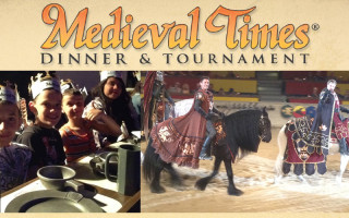 Review: Medieval Times Schaumburg, IL