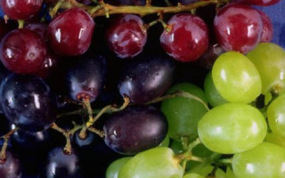 SavingStar Healthy Offer of the Week: 20% off grapes