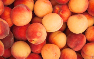 SavingStar Healthy Offer of the Week: 20% off peaches