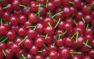 FREE Cherrish cherry juice at Jewel 1/17