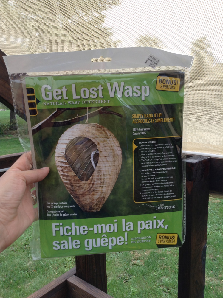 Get Lost Wasp