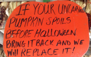 Good thing our Halloween pumpkins came with a guarantee!