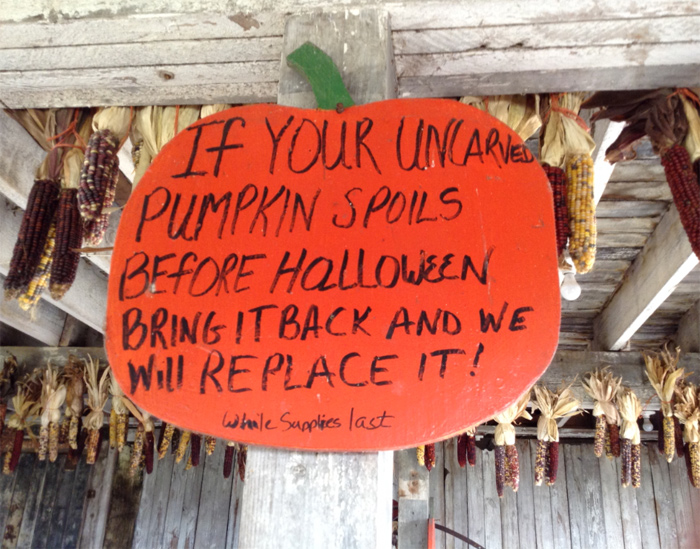 uncarved pumpkin