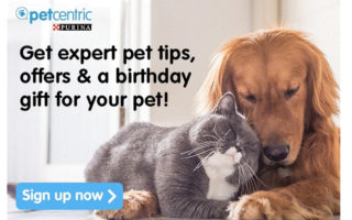 Get a birthday gift for your pet with Purina Petcentric